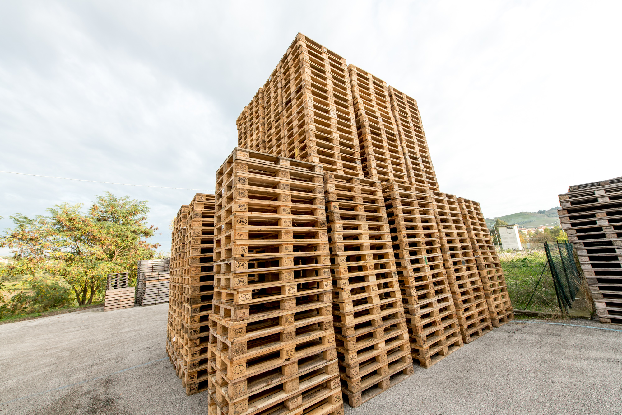 PALLET
